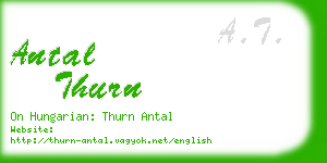 antal thurn business card